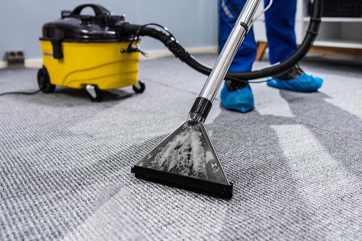 Professionelle Teppichreinigung mittels Sprühextraktion auf einem Teppichboden durch Oxonio in Hamburg.